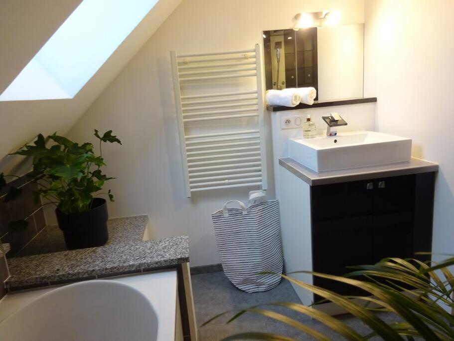 Appartement Panoramique Le Thillot Dış mekan fotoğraf